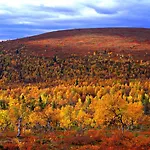Hotel Lapland Saaga Ylläsjärvi