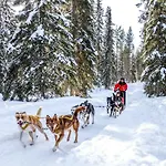 Lapland Saaga Hotel