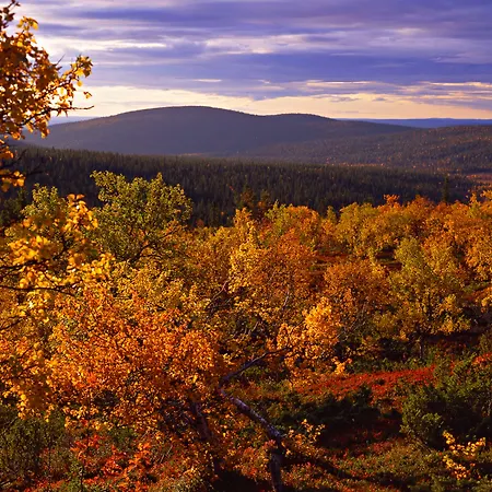 Lapland Saaga Szálloda