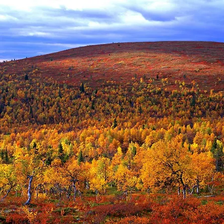 ホテル Lapland Saaga Ylläsjärvi
