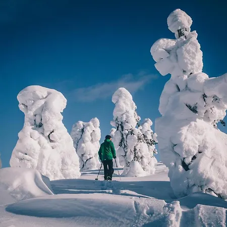 Lapland Saaga