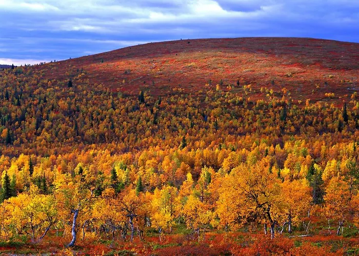 Hotell Lapland Saaga Ylläsjärvi