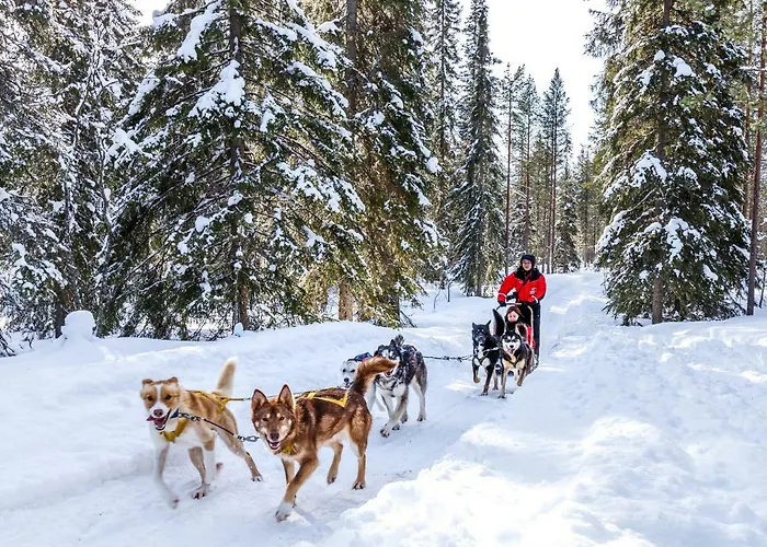 Lapland Saaga فندق